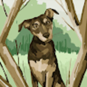 Meet your Posher, Harper